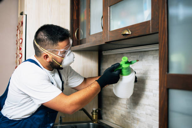 Best Residential Pest Control  in Southside, AL
