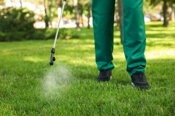 Best Emergency Pest Control  in Southside, AL