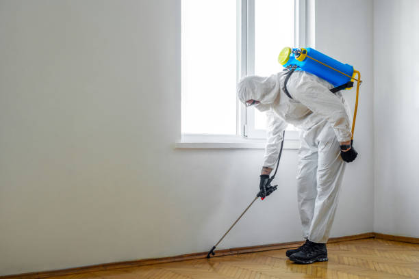 Best Commercial Pest Control Services  in Southside, AL