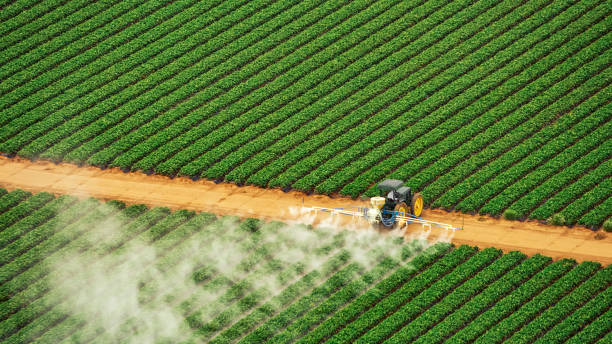 Best Best Pest Control Companies  in Southside, AL