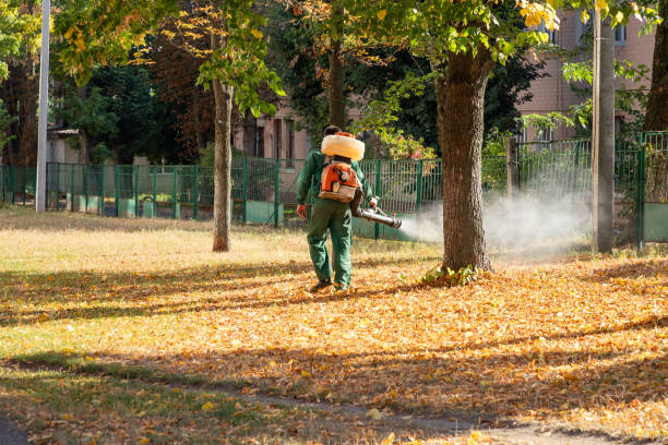 Wasp Removal Services in Southside, AL