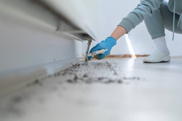 Pest Control for Restaurants in Southside, AL